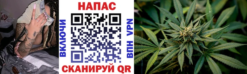 Купить закладку A-PVP  Cocaine  Мефедрон  Конопля  ГАШИШ  Новоульяновск