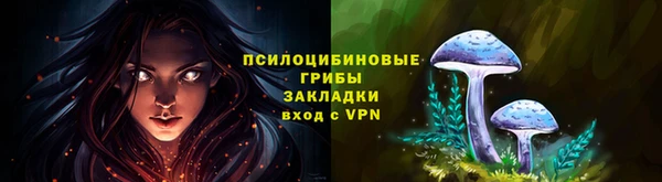 дживик Горно-Алтайск