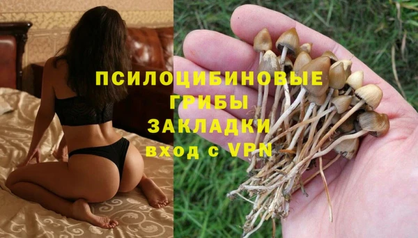дживик Горно-Алтайск