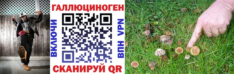 Псилоцибиновые грибы ЛСД  Купить  Новоульяновск 